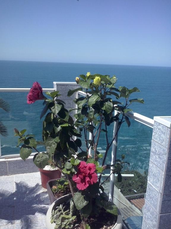 Auberge de jeunesse Vista Do Mar